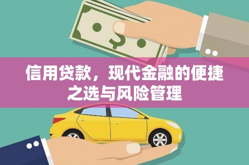 宜川信用贷款，现代金融的便捷之选与风险管理