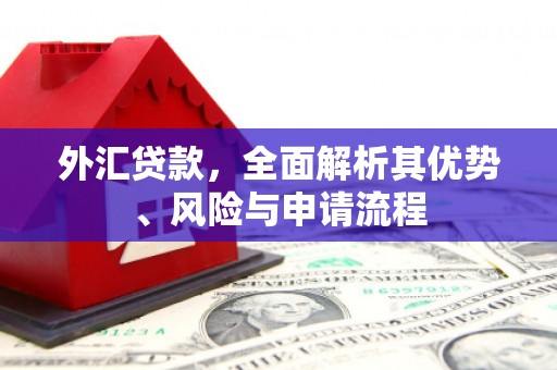 宜川外汇贷款，全面解析其优势、风险与申请流程