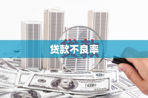 宜川贷款不良率