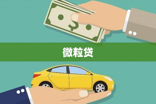 宜川微粒贷