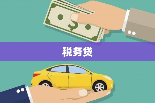 宜川税务贷