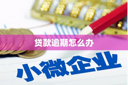 宜川贷款逾期怎么办