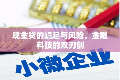 宜川现金贷的崛起与风险，金融科技的双刃剑