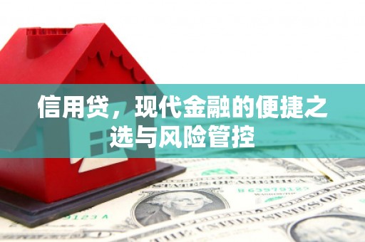 宜川信用贷，现代金融的便捷之选与风险管控