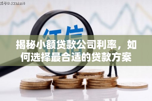 宜川揭秘小额贷款公司利率，如何选择最合适的贷款方案