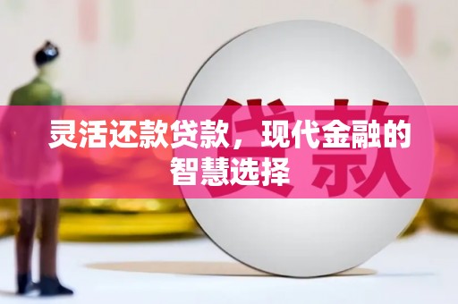 宜川灵活还款贷款，现代金融的智慧选择