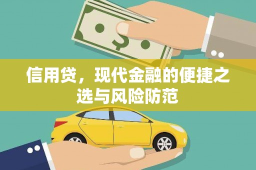 宜川信用贷，现代金融的便捷之选与风险防范