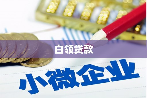 宜川白领贷款