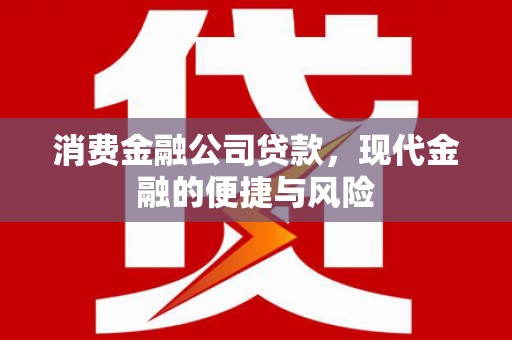 宜川消费金融公司贷款，现代金融的便捷与风险