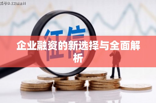 宜川企业融资的新选择与全面解析